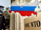 Грузия согласилась пустить Россию в ВТО